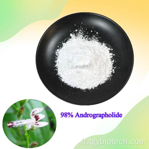 Andrographis paniculata extrait poudre 98% Andrographolide